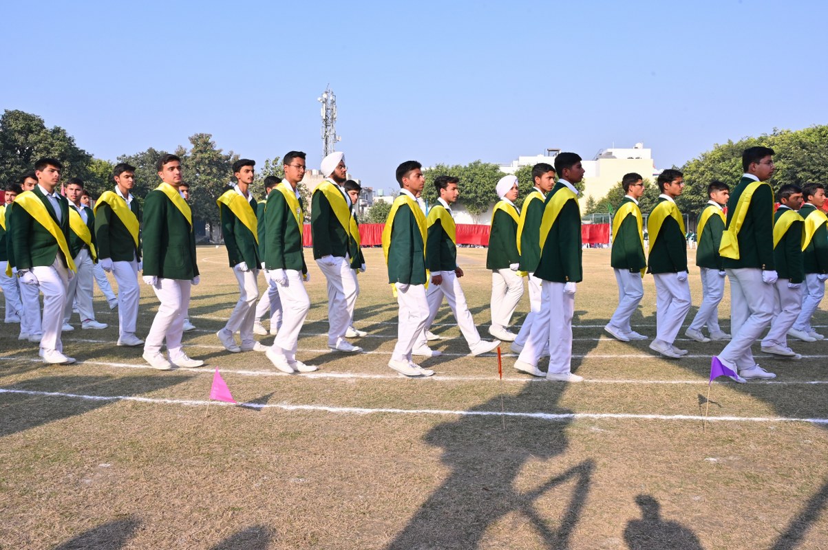 A scenic view of a vibrant green forest